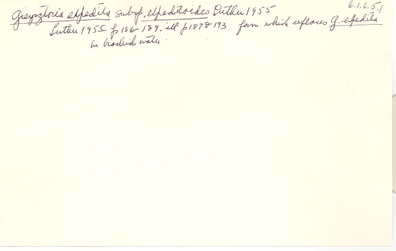 index card