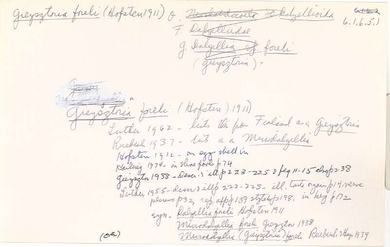 index card