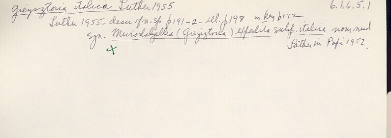index card