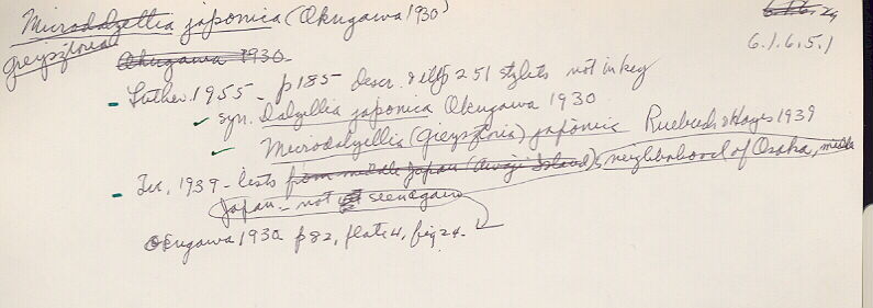 index card