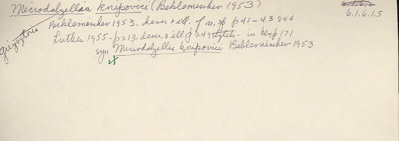 index card