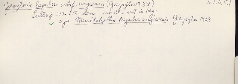 index card