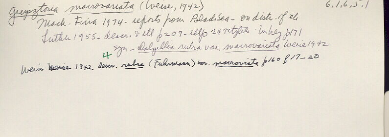index card