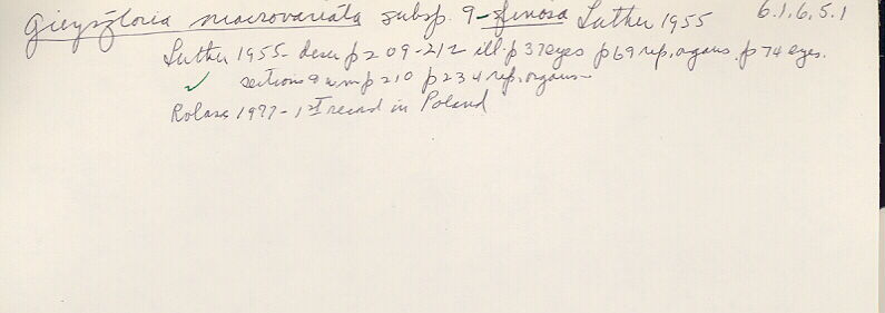 index card