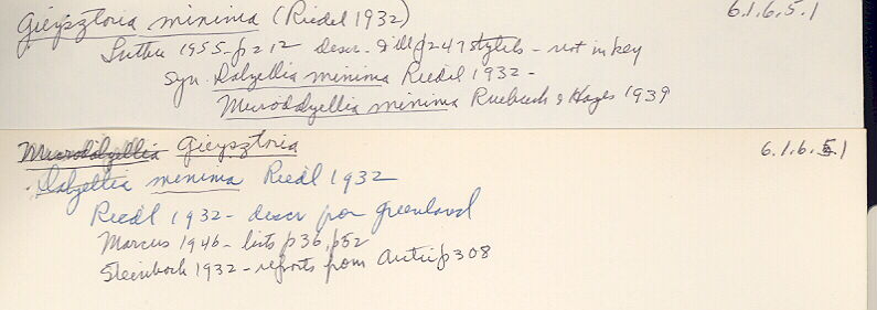index card