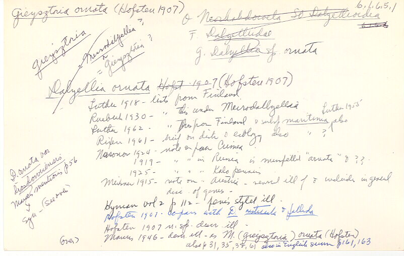 index card