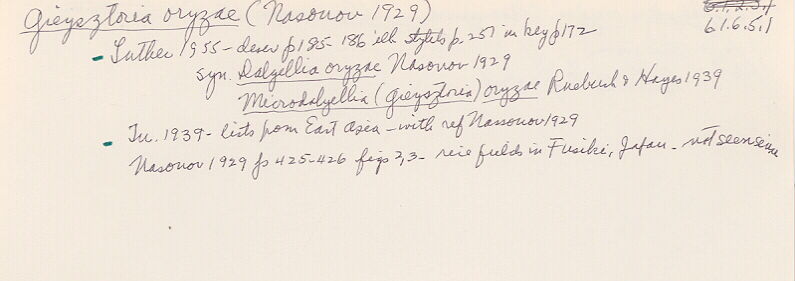 index card