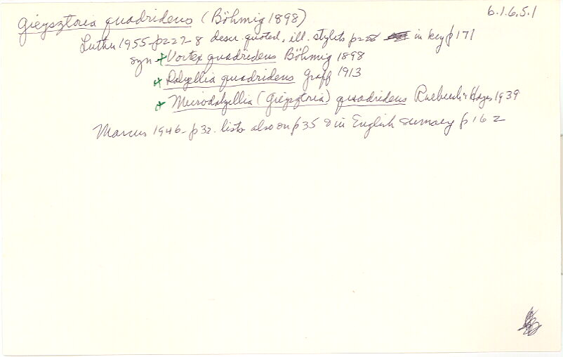 index card