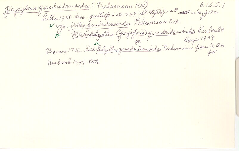 index card
