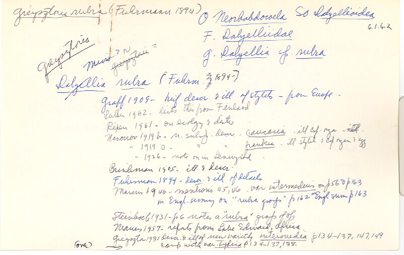 index card