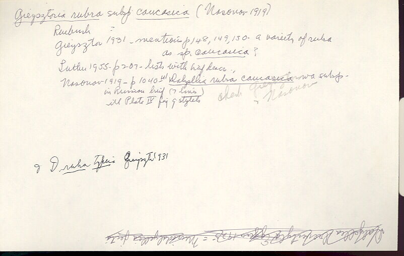 index card