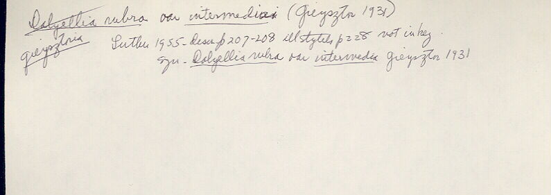 index card