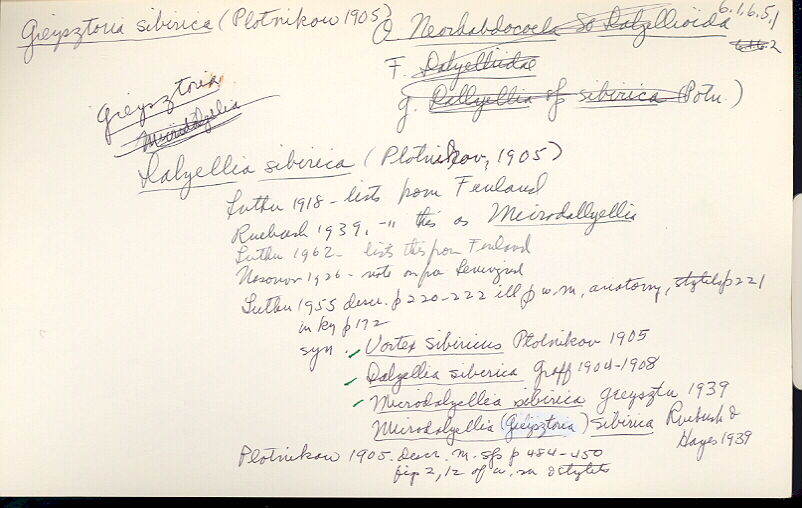index card