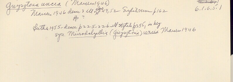 index card