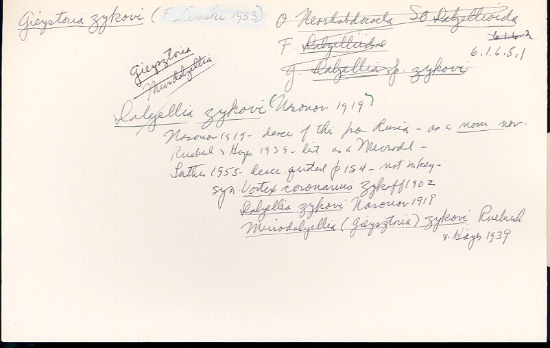 index card