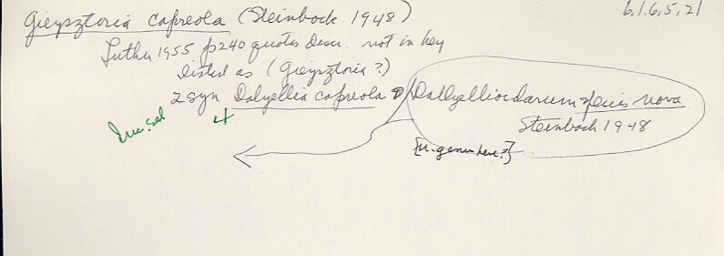 index card