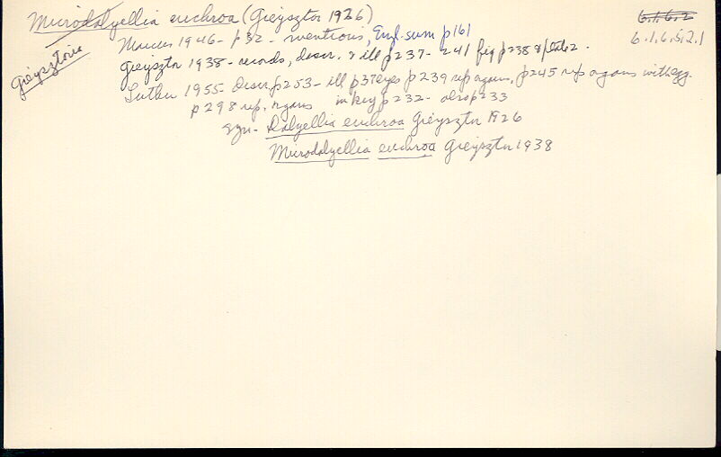 index card