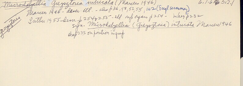 index card