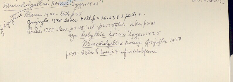 index card