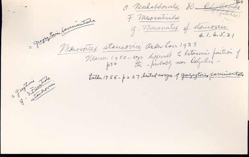 index card