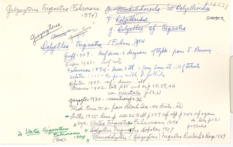 index card