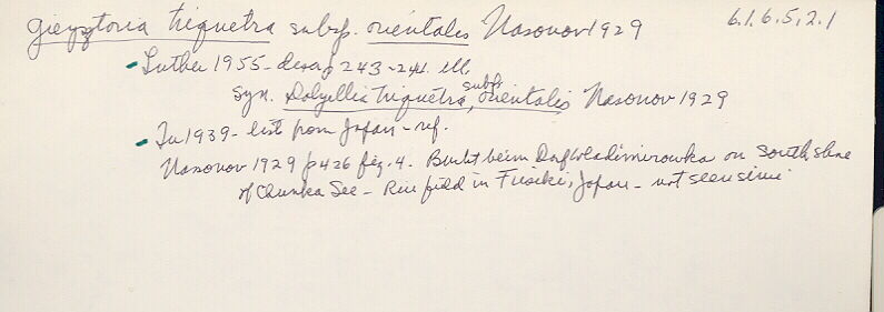 index card