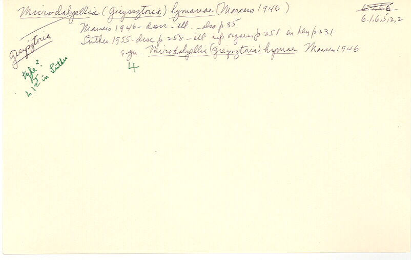 index card