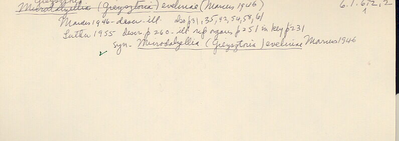 index card
