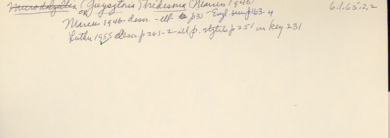 index card