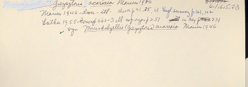 index card