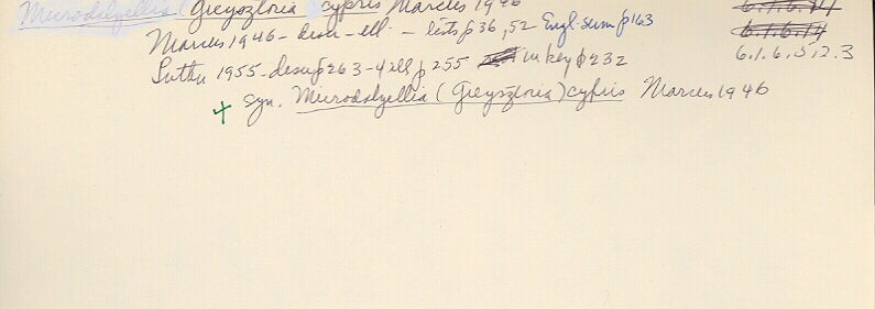 index card