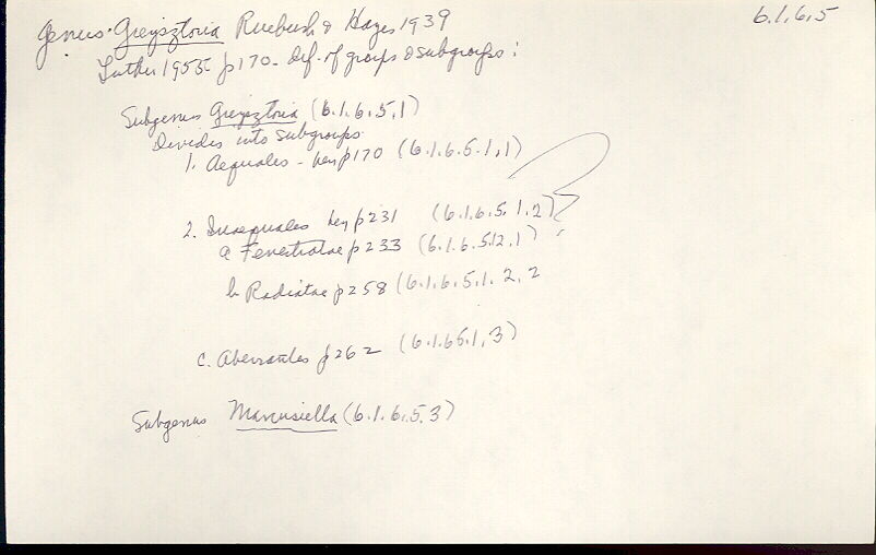 index card