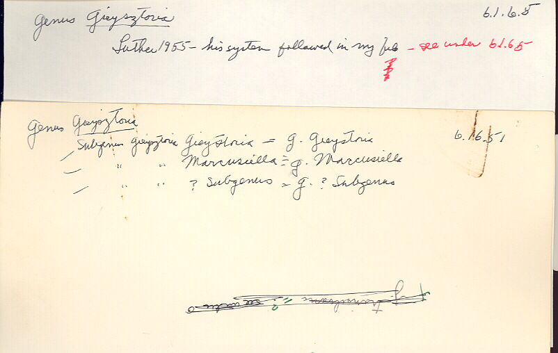 index card