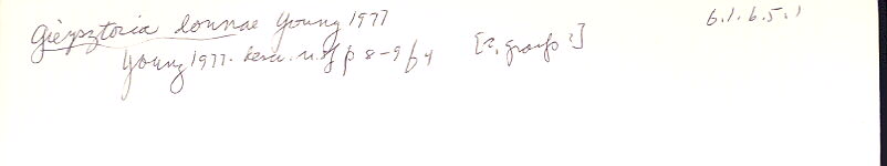 index card