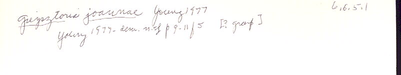 index card