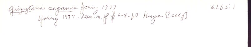 index card