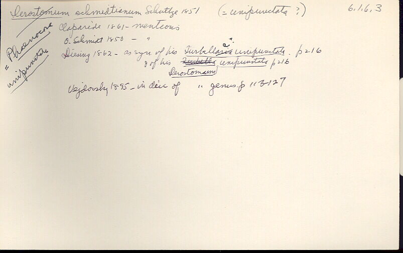 index card