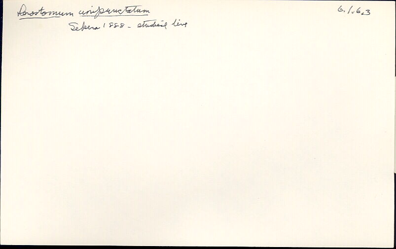 index card