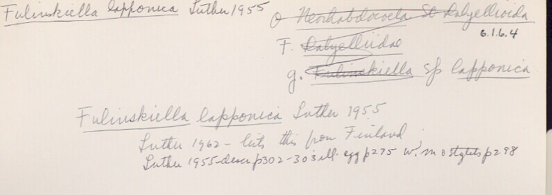 index card