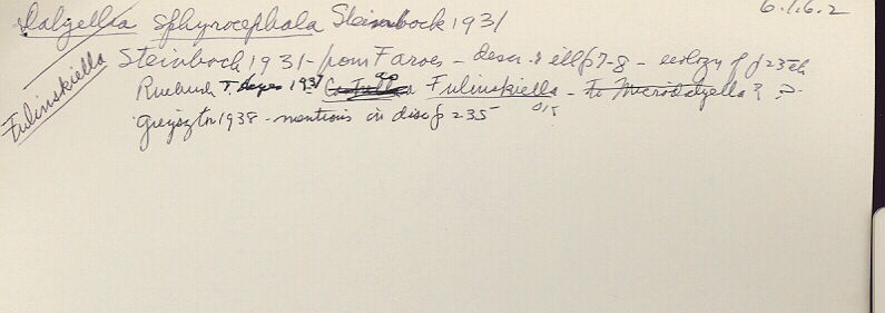 index card