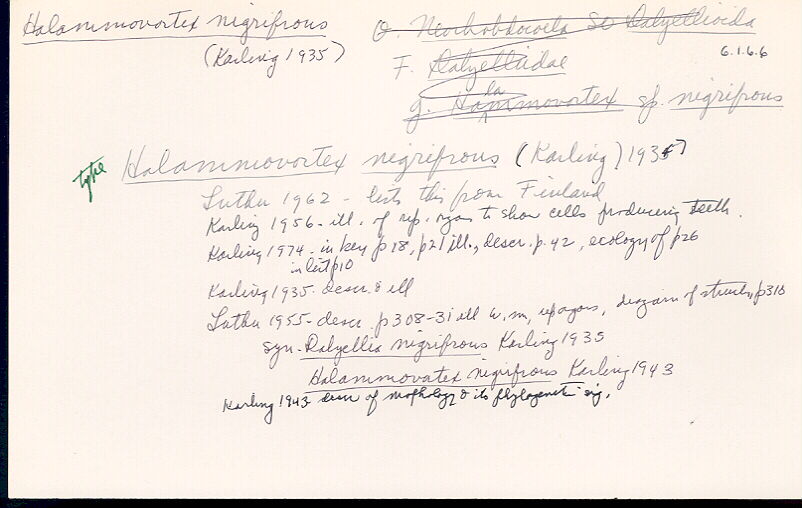 index card