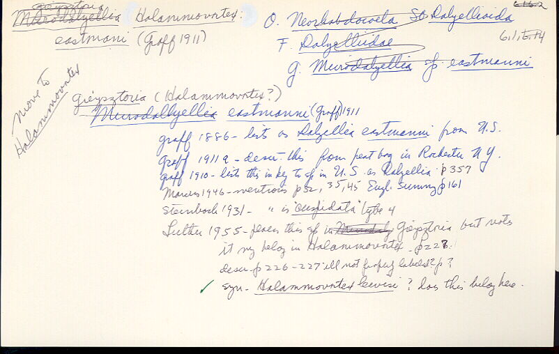 index card
