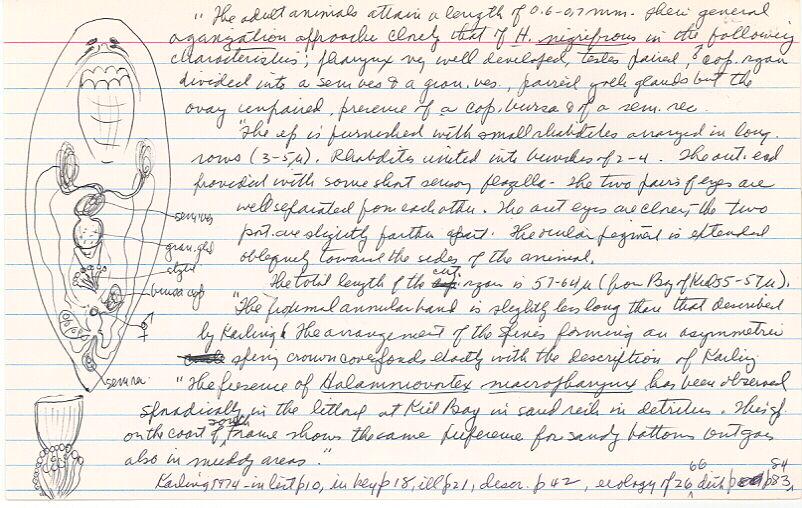 index card