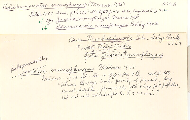 index card