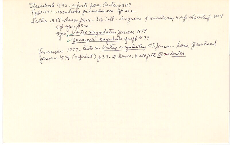 index card