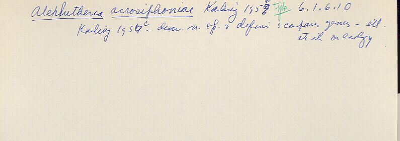 index card