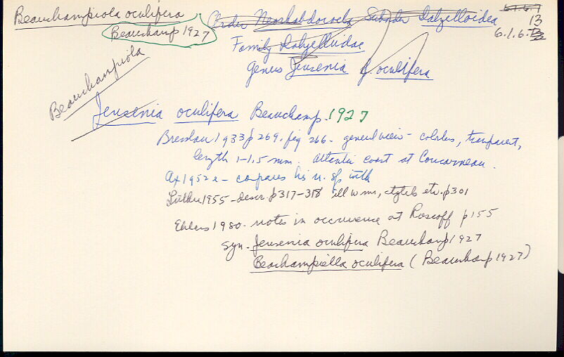 index card