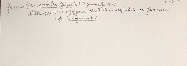 index card