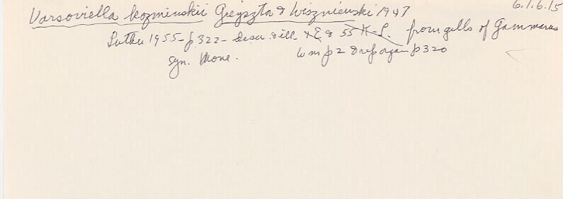 index card