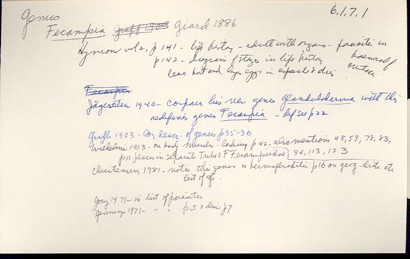 index card